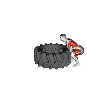Tire Flip/وارونه کردن لاستیک