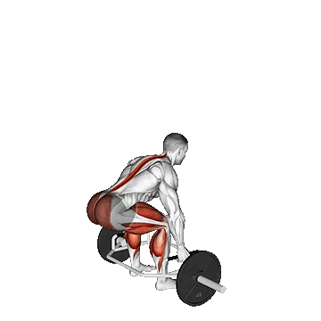 Trap Bar Jump Squat/جامپ اسکات تراپ بار