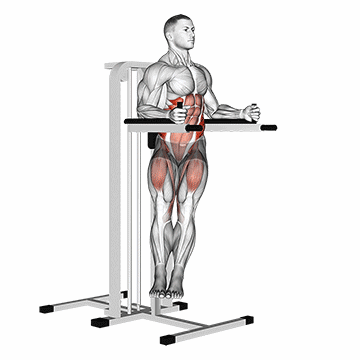 Twisted Leg Raise/خلبانی پا صاف چرخشی