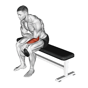 One Arm Reverse Wrist Curl/ساعد تک دست معکوس صفحه