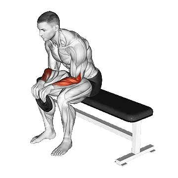 Reverse Wrist Curl /ساعد نشسته صفحه معکوس