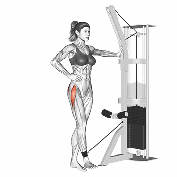 ابداکشن ران سیمکش / Cable Abduction Leg